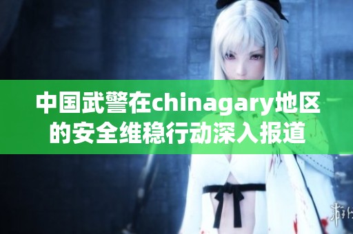 中國(guó)武警在chinagary地區(qū)的安全維穩(wěn)行動(dòng)深入報(bào)道