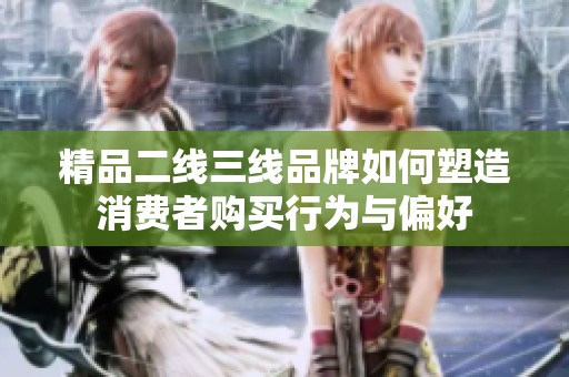 精品二線三線品牌如何塑造消費(fèi)者購買行為與偏好