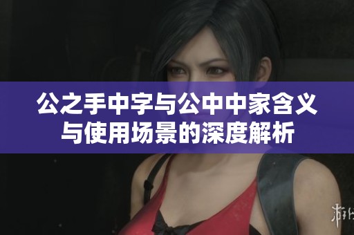 公之手中字與公中中家含義與使用場景的深度解析