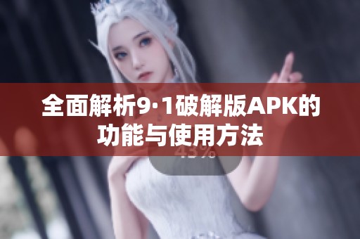 全面解析9·1破解版APK的功能與使用方法