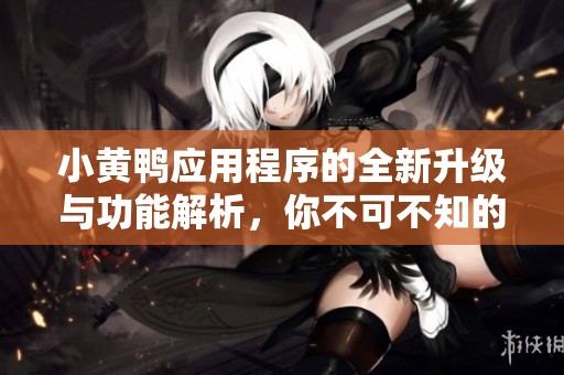 小黃鴨應(yīng)用程序的全新升級(jí)與功能解析，你不可不知的亮點(diǎn)與優(yōu)勢(shì)