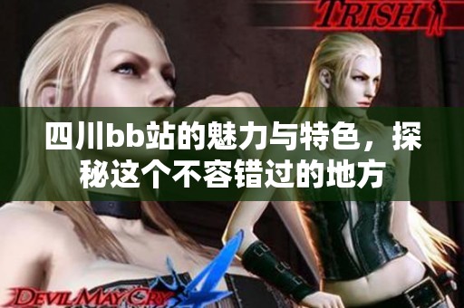 四川bb站的魅力與特色，探秘這個(gè)不容錯(cuò)過(guò)的地方