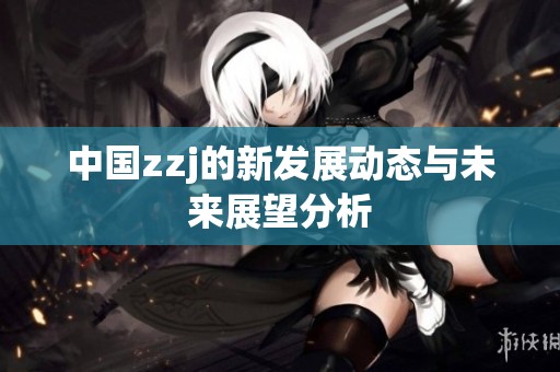 中國zzj的新發(fā)展動態(tài)與未來展望分析