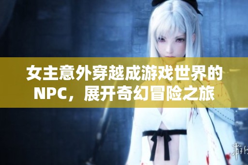 女主意外穿越成游戲世界的NPC，展開奇幻冒險之旅