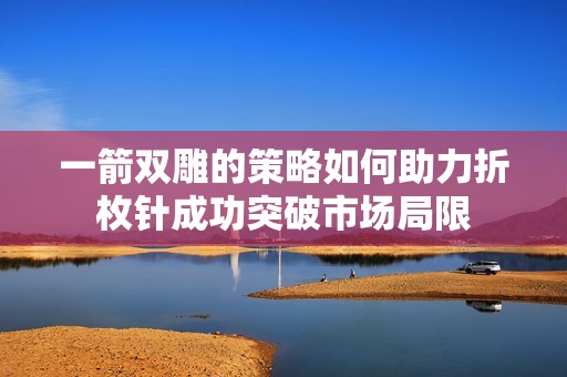 一箭雙雕的策略如何助力折枚針成功突破市場局限