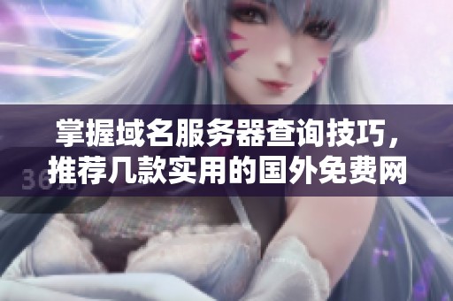 掌握域名服務(wù)器查詢技巧，推薦幾款實用的國外免費網(wǎng)站