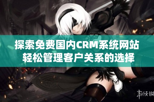 探索免費(fèi)國內(nèi)CRM系統(tǒng)網(wǎng)站 輕松管理客戶關(guān)系的選擇