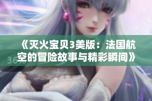 《滅火寶貝3美版：法國(guó)航空的冒險(xiǎn)故事與精彩瞬間》