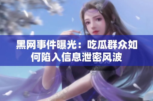 黑網(wǎng)事件曝光：吃瓜群眾如何陷入信息泄密風(fēng)波