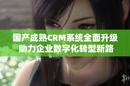 國產成熟CRM系統(tǒng)全面升級 助力企業(yè)數字化轉型新路徑