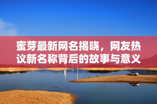 蜜芽最新網(wǎng)名揭曉，網(wǎng)友熱議新名稱背后的故事與意義