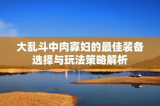大亂斗中肉寡婦的最佳裝備選擇與玩法策略解析