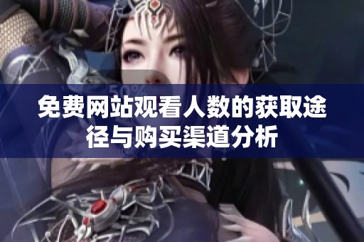 免費網(wǎng)站觀看人數(shù)的獲取途徑與購買渠道分析