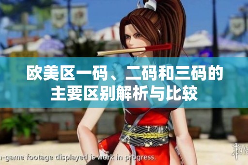 歐美區(qū)一碼、二碼和三碼的主要區(qū)別解析與比較