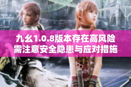 九幺1.0.8版本存在高風(fēng)險(xiǎn)需注意安全隱患與應(yīng)對措施