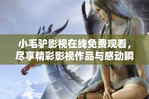 小毛驢影視在線免費觀看，盡享精彩影視作品與感動瞬間