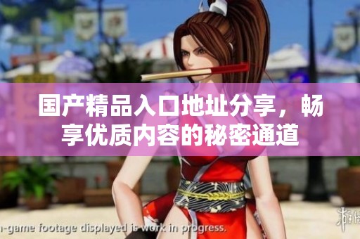 國產(chǎn)精品入口地址分享，暢享優(yōu)質(zhì)內(nèi)容的秘密通道