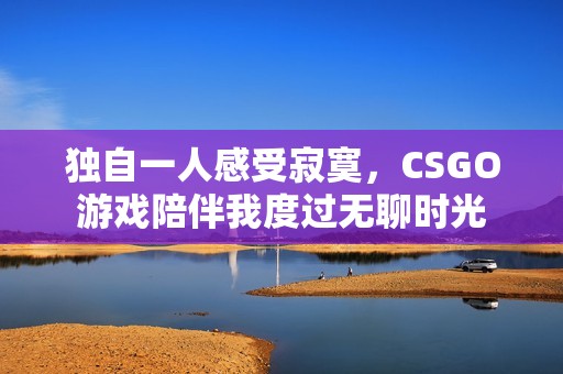 獨自一人感受寂寞，CSGO游戲陪伴我度過無聊時光