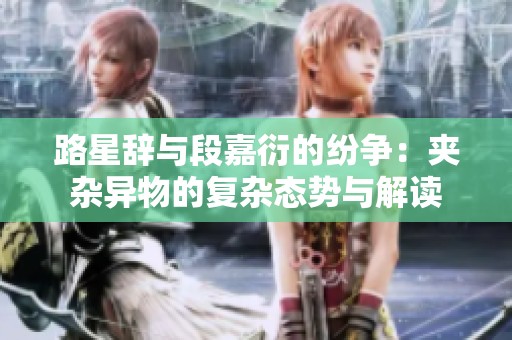路星辭與段嘉衍的紛爭(zhēng)：夾雜異物的復(fù)雜態(tài)勢(shì)與解讀