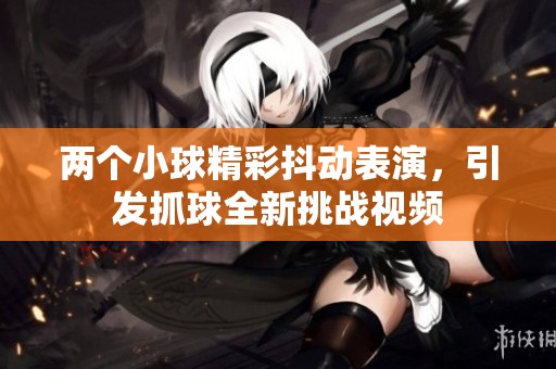 兩個小球精彩抖動表演，引發(fā)抓球全新挑戰(zhàn)視頻