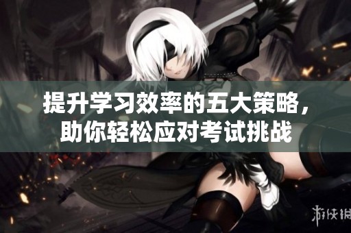 提升學(xué)習(xí)效率的五大策略，助你輕松應(yīng)對(duì)考試挑戰(zhàn)