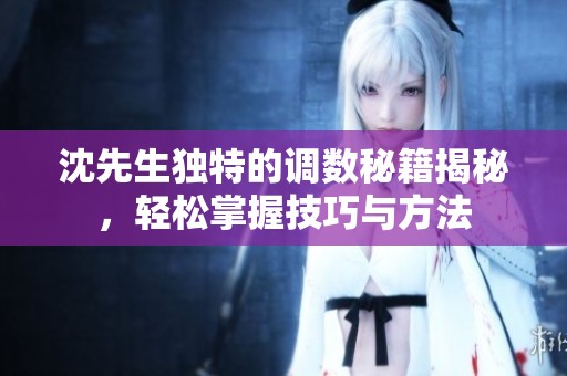 沈先生獨(dú)特的調(diào)數(shù)秘籍揭秘，輕松掌握技巧與方法