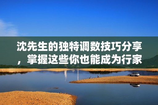 沈先生的獨特調(diào)數(shù)技巧分享，掌握這些你也能成為行家