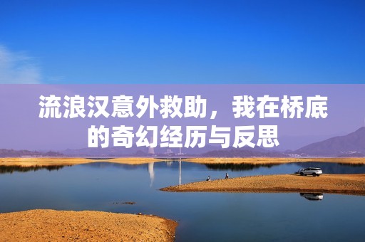 流浪漢意外救助，我在橋底的奇幻經(jīng)歷與反思