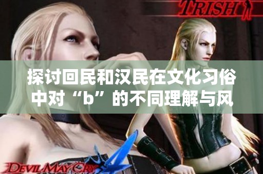 探討回民和漢民在文化習(xí)俗中對“b”的不同理解與風(fēng)俗差異