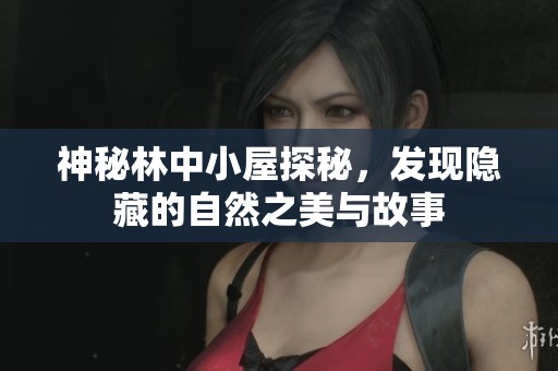 神秘林中小屋探秘，發(fā)現(xiàn)隱藏的自然之美與故事