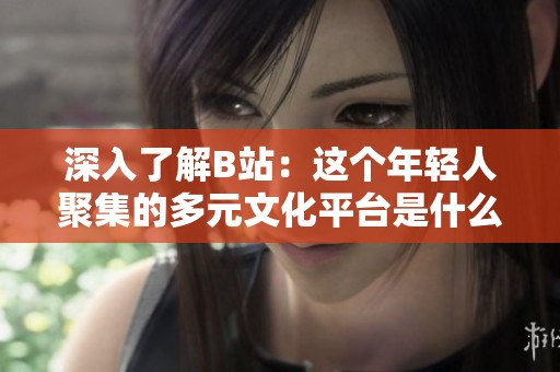 深入了解B站：這個年輕人聚集的多元文化平臺是什么樣的？
