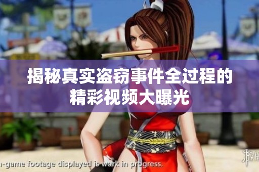 揭秘真實(shí)盜竊事件全過(guò)程的精彩視頻大曝光