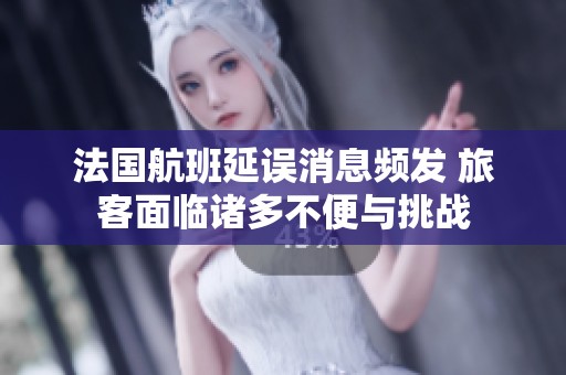 法國航班延誤消息頻發(fā) 旅客面臨諸多不便與挑戰(zhàn)