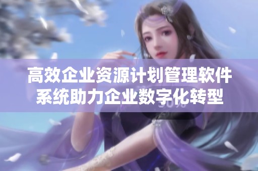 高效企業(yè)資源計劃管理軟件系統(tǒng)助力企業(yè)數(shù)字化轉型