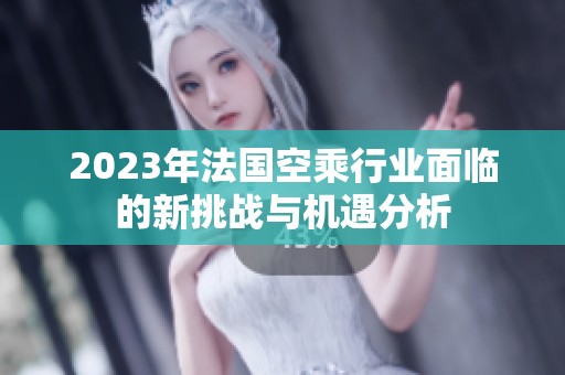 2023年法國空乘行業(yè)面臨的新挑戰(zhàn)與機遇分析