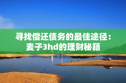 尋找償還債務(wù)的最佳途徑：麥子3hd的理財(cái)秘籍