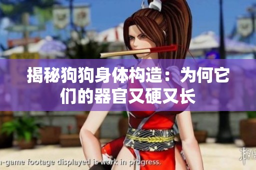 揭秘狗狗身體構造：為何它們的器官又硬又長