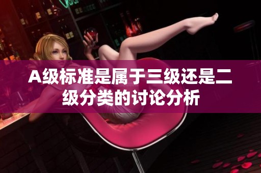 A級標(biāo)準(zhǔn)是屬于三級還是二級分類的討論分析