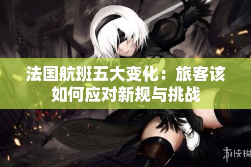 法國航班五大變化：旅客該如何應對新規(guī)與挑戰(zhàn)