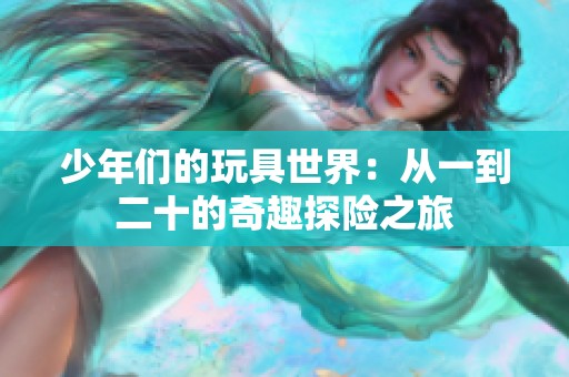 少年們的玩具世界：從一到二十的奇趣探險之旅