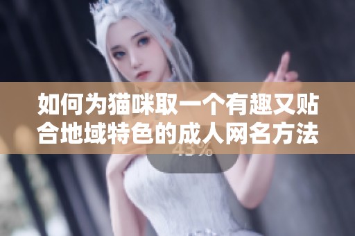 如何為貓咪取一個(gè)有趣又貼合地域特色的成人網(wǎng)名方法分享