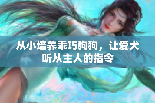 從小培養(yǎng)乖巧狗狗，讓愛犬聽從主人的指令