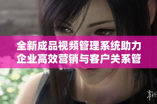 全新成品視頻管理系統(tǒng)助力企業(yè)高效營(yíng)銷與客戶關(guān)系管理