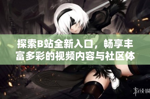 探索B站全新入口，暢享豐富多彩的視頻內(nèi)容與社區(qū)體驗(yàn)