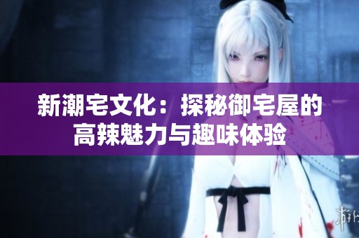 新潮宅文化：探秘御宅屋的高辣魅力與趣味體驗(yàn)