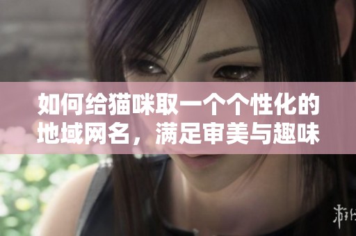 如何給貓咪取一個個性化的地域網(wǎng)名，滿足審美與趣味？