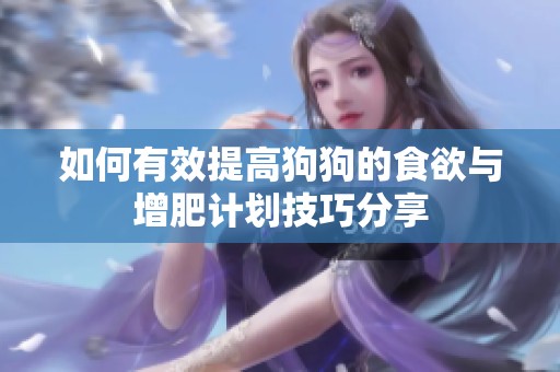 如何有效提高狗狗的食欲與增肥計(jì)劃技巧分享
