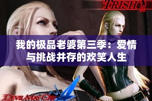 我的極品老婆第三季：愛情與挑戰(zhàn)并存的歡笑人生