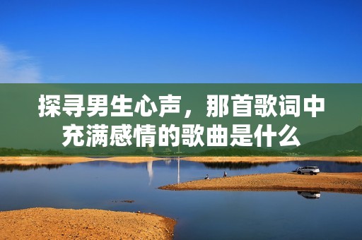 探尋男生心聲，那首歌詞中充滿感情的歌曲是什么