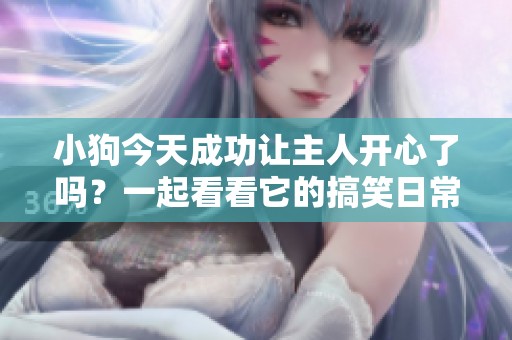 小狗今天成功讓主人開心了嗎？一起看看它的搞笑日常！